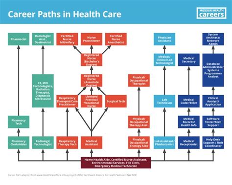 Career Paths In Health Care Missouri Health Careers Health Careers