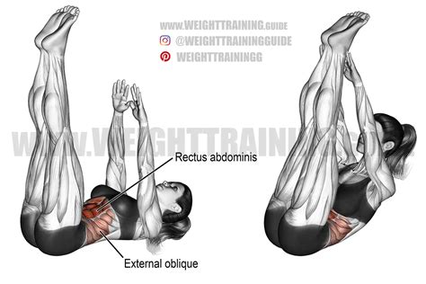 Vertical Leg Crunch Exercise Instructions And Video Weight Training Guide