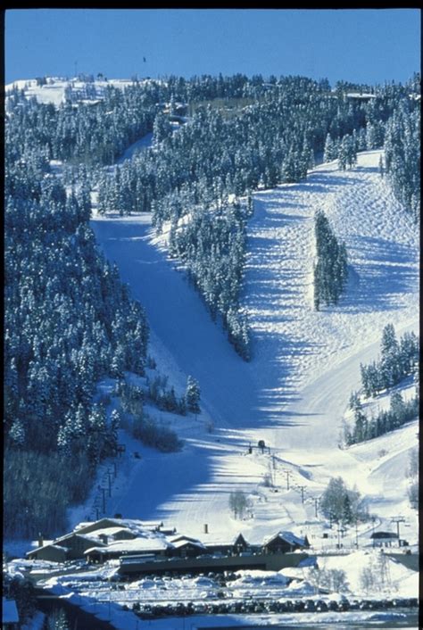 He who is deaf, blind & silent, lives a thousand years in peace. Skier Hits Tree, Dies at Deer Valley | First Tracks ...