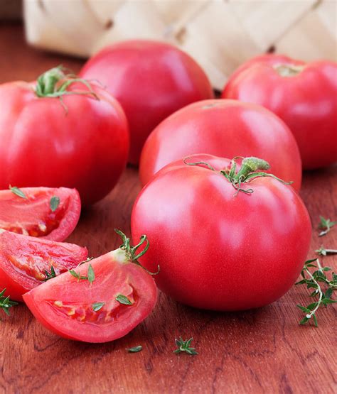 Bradley Heirloom Tomato High Quality Fruit Disease Resistant
