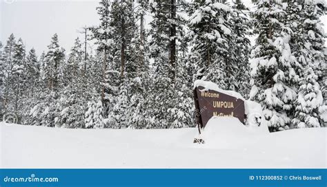 Winter Woods Umpqua National Forest Welcome Sign Stock Photo Image Of