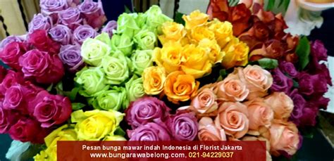 Bunga Mawar Indonesia Di Jakarta Toko Bunga Rawa Belong Florist