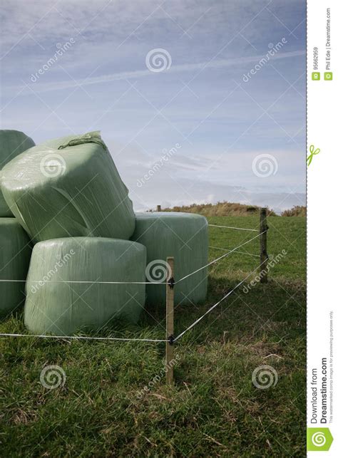 Green Hay Bales Stock Image Image Of Overcast Green 95662959