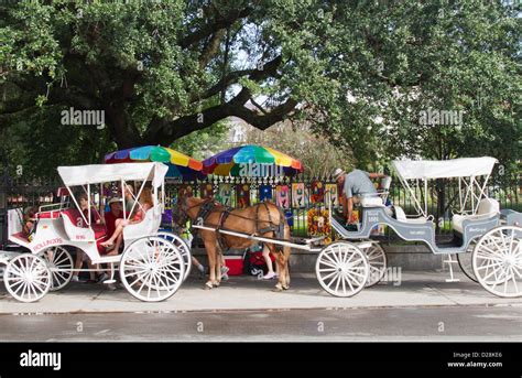 La New Orleans French Quarter Jackson Square Horse And Carriage