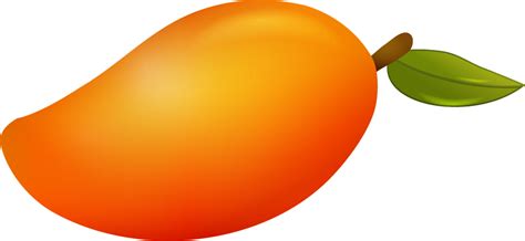 Webstockreview provides free png images, backgrounds and vectors that you can embed anywhere at no cost. Paisley clipart mango, Paisley mango Transparent FREE for ...