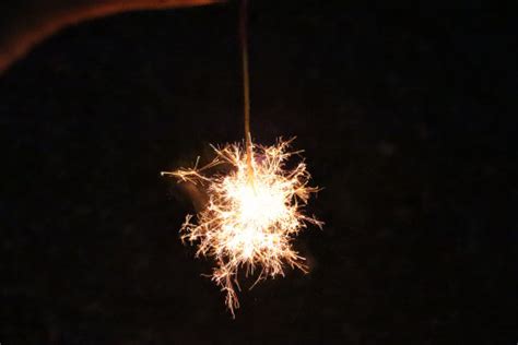 Free Images Light Night Flower Sparkler Darkness Fireworks