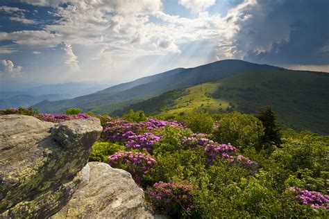 4 of the Best Hiking Trails in Tennessee for Spring's Colors ...