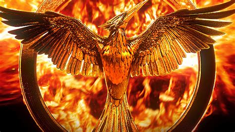 The Hunger Games 2560x1440 Background Wallpaper Cool Wallpapers For Gaming