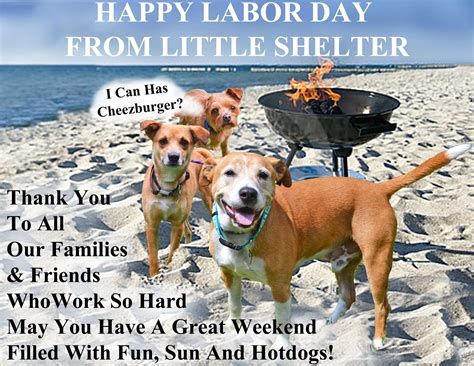 Little Shelter Animal Adoption Center Inc Reviews And Ratings