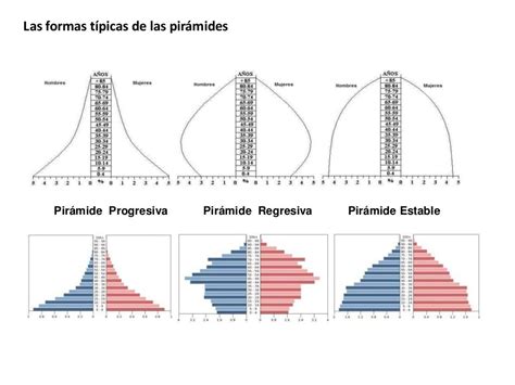 Pirámides De Población