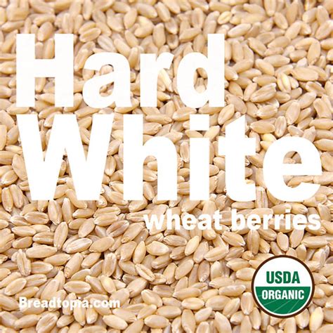 Organic Hard White Wheat Berries Mockmill