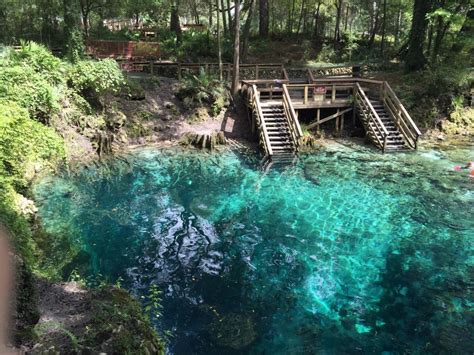Friendship, romance, life, school, youth. Madison Blue Springs In Florida Is A Stunning Natural ...