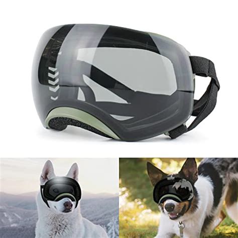 Alleviating Fidos Eye Stress Finding The Best Dog Goggles With Rex Specs