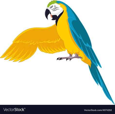 Parrot Vector Image On в 2020 г