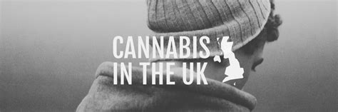 ian birrell interviewed volteface director steve moore about cannabis in the uk volteface