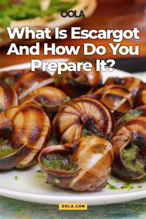 What Is Escargot And How Do You Prepare It Snails Recipe Escargot