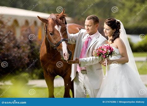 Newly Married Couple Stock Photo Image Of Park Outdoor 27476386