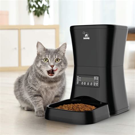 Try These Awesome Automatic Cat Feeders