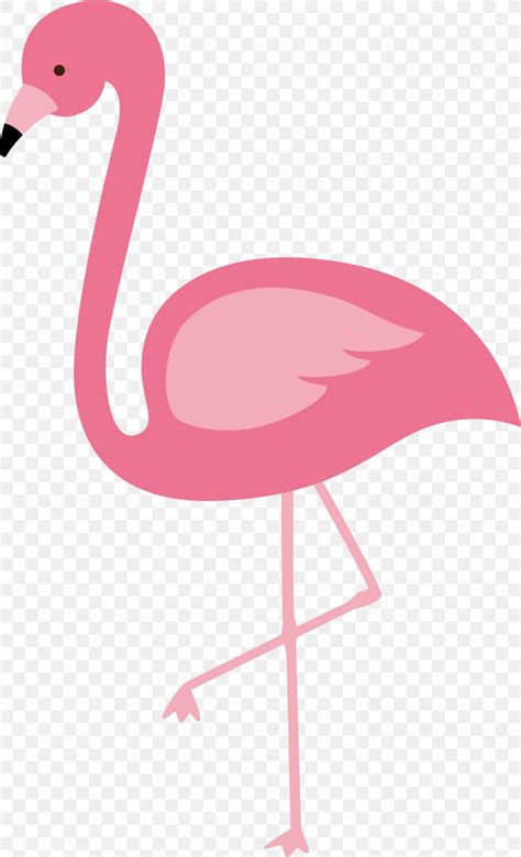 Flamingos Bird Euclidean Vector Png 1124x1852px Flamingo Animation