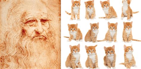Why Leonardo Da Vinci Would Have Aced The Internet Cat