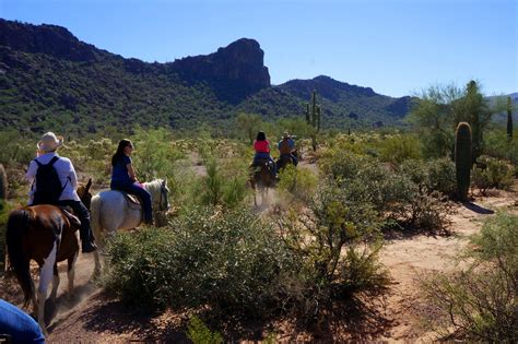 Horseback Riding In Tucson No Back Home