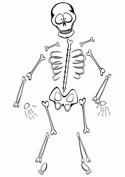 Skeleton Coloring Pages Funny Cartoons Printable Parentune