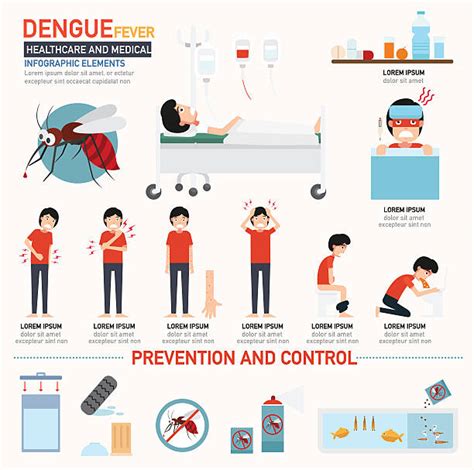 Dengue Fever Fever Illustrations Royalty Free Vector Graphics And Clip