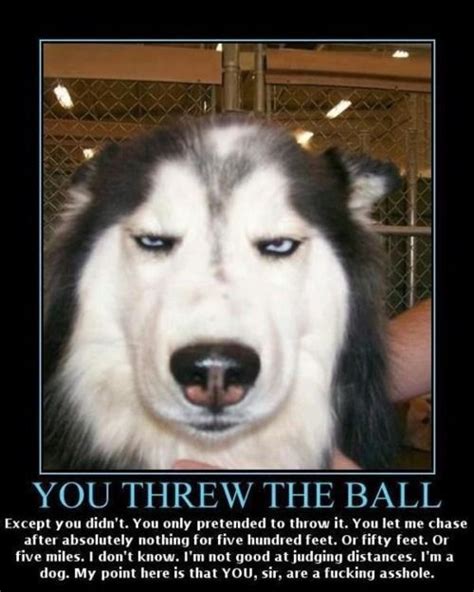 You Threw The Ball Classic Made Me Laugh Out Loud Funny Captions