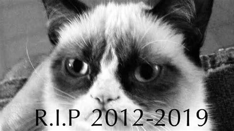 I Am Deeply Saddened To Inform You That The Internet Legend Grumpy Cat