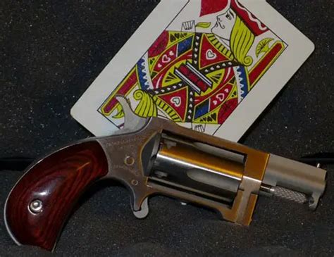 Naa Sidewinder 22 Wmr Mini Revolver