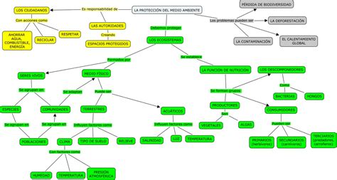 Increible Quinto Mapa Conceptual De Los Ecosistemas My Xxx Hot Girl