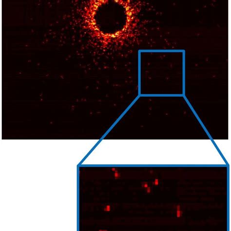 The same softening effect happens when photographing through diffusion cloth or window screens. Yukihito KONDO | Senior Researcher | JEOL, Tokyo