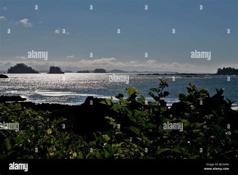 Broken Group Islands View From Wild Pacific Trail Ucluelet Vancouver