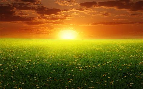 Dream Nature With Sunset Background For Powerpoint Nature Ppt Templates