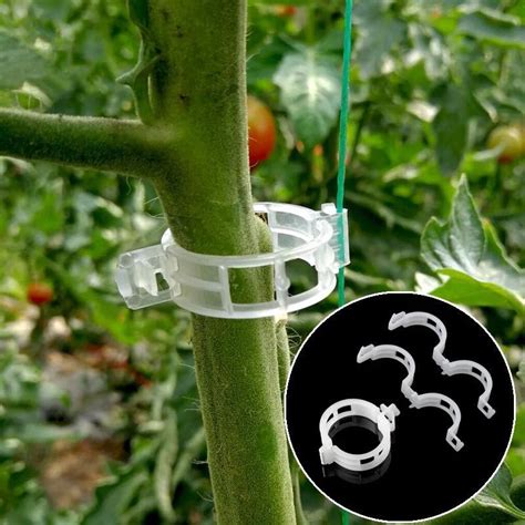 Hot Sale Silicon Tomato Grafting Trellis Trellising Plastic Clips With