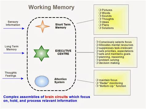 My Learning Place Working Memory The Learning Machinery