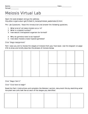 Click on the laboratory exercise link. meiosis virtual lab worksheet answer key Doc Template ...