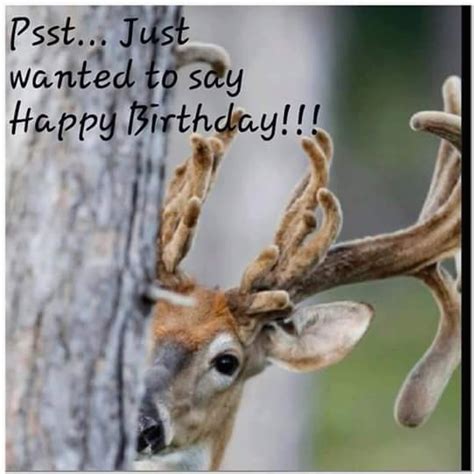 Happy Birthday Hunting Quotes A Dixie Lady Deer Hunter If It 39 S Your