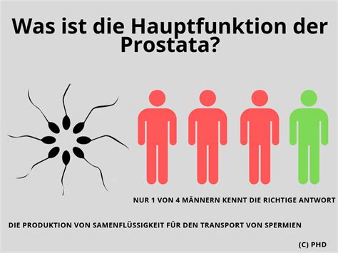 Prostata Nur Jeder Vierte Mann Kennt Sich Aus Prostata Hilfe Deutschland