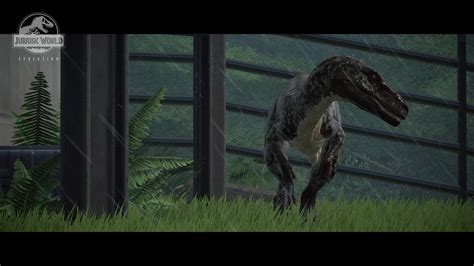 Herrerasaurus In Rain Jurassicworldevo