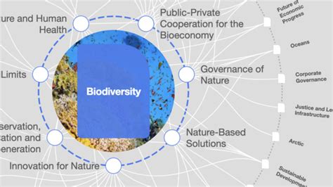 5 Reasons Why Biodiversity Matters To Health And The Economy World