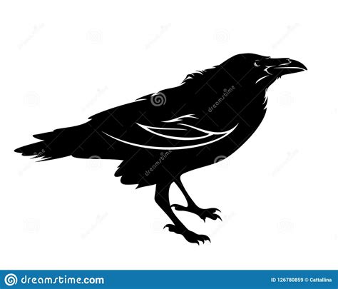 Raven Bird Black Vector Design Stock Vector Illustration Of Side