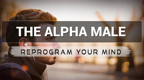 Becoming The Alpha Male Affirmations Mp3 Music Audio Law Of