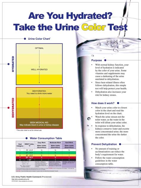 Use this urine colour chart to assess how hydrated you are. Dehydration- the truth about water