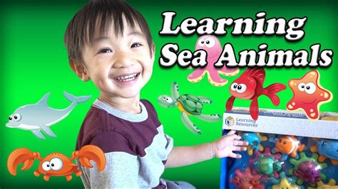 Learning Sea Animal Names For Children Play Adventure At The Aquarium