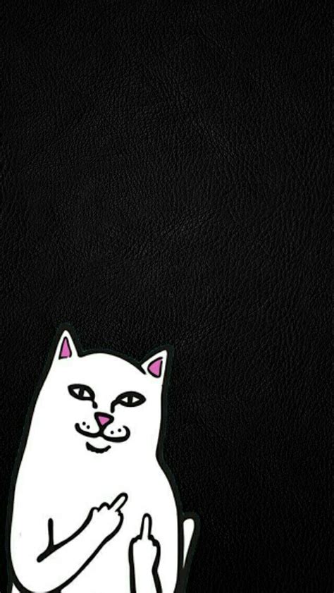 Maybe you would like to learn more about one of these? Ripndip Nermal Wallpapers chido | Fondos de pantalla de ...