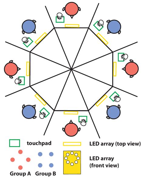 Experimental Setup For Multiagent Coordination In The Human Firefly