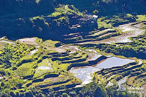 Banaue Rice Terraces The Eighth Wonder Of The World Jim Jackson