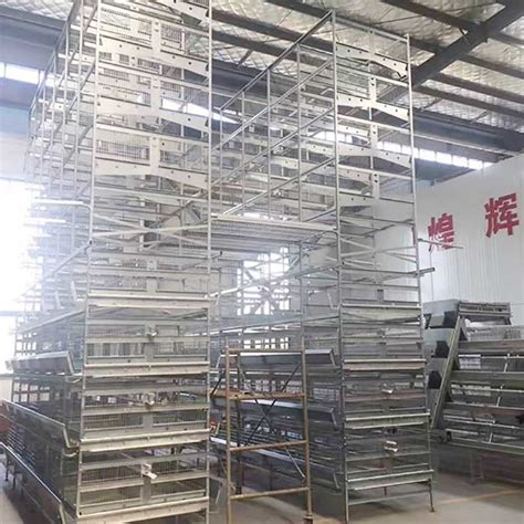 90 256 Birds Battery Cage System Durable Enriched Cages For Laying Hens