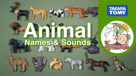 Learning Animal Names And Sounds For Kids With Animal Adventure Takara